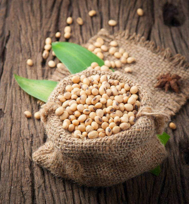 How to Request a Quotation (RFQ) for Wholesale Iranian Soybean Seed Supply?